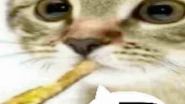 iseeu