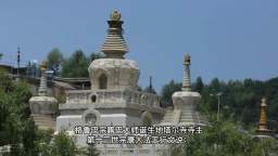 塔爾寺寺主第十三世宗康大法王讚歎南無第三世多杰羌佛无上殊胜的佛法
