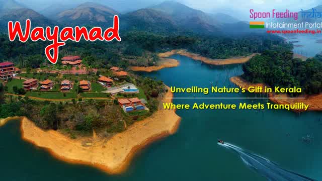 Unveiling-the-Splendor-of-Wayanad-Natures-Gift-in-Kerala