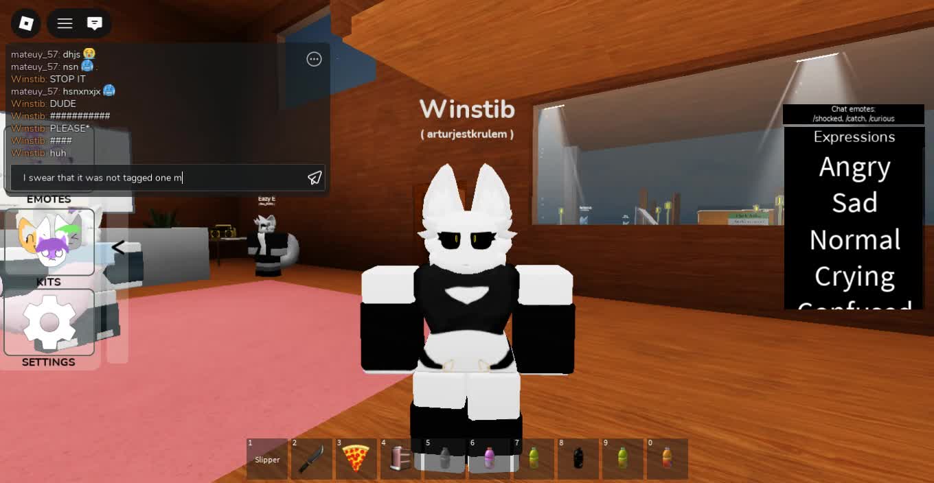 Roblox-2025-12-13T19_09_52.008Z