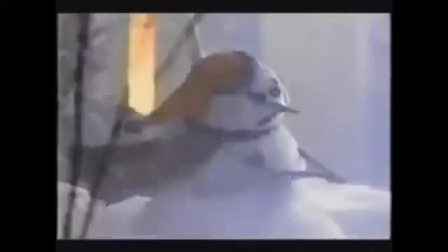 Home Alone Is The Best Christmas Movie - The Sandwich Home Alone Is The Best Christmas Movie - The Sandwich