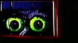 The Eyes