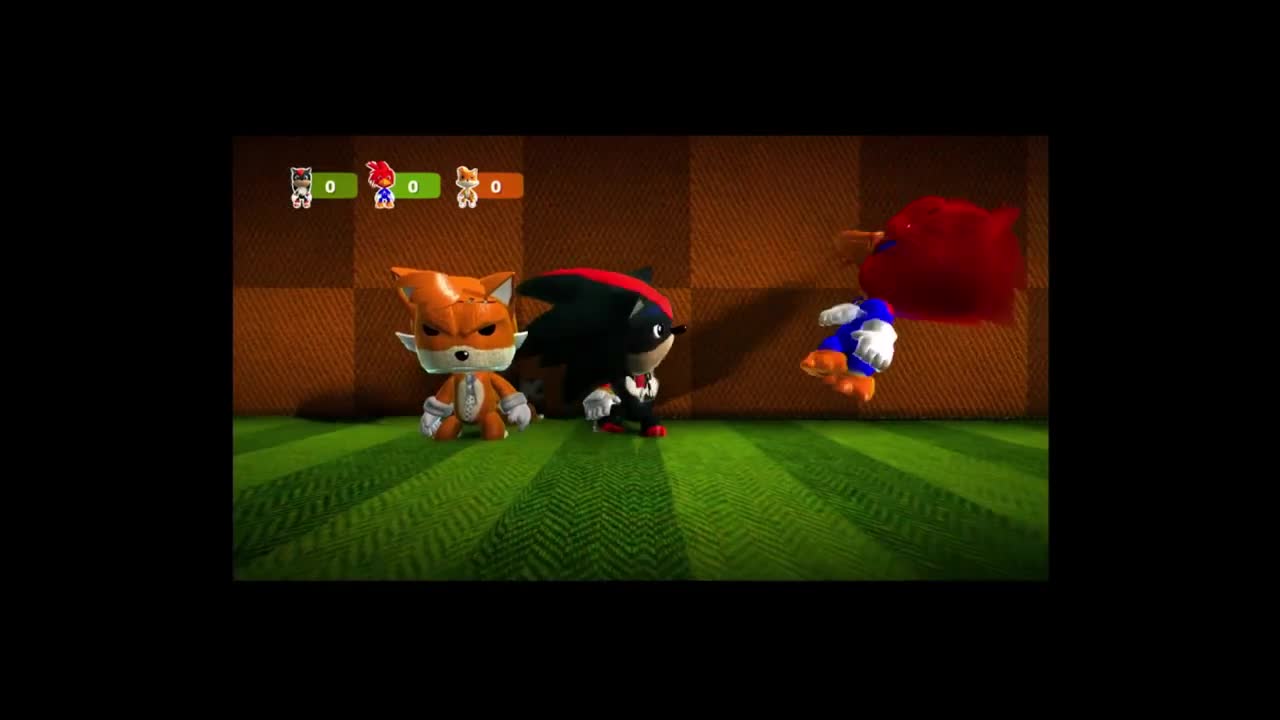When Somebody Is Not A Sonic Character In Sonic Skit House