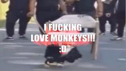 I LOVE MONKEYS!!! (REAL)