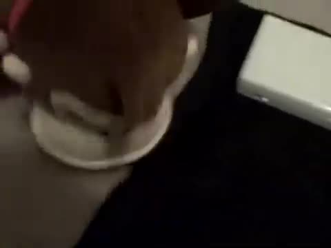 DS games 2007 DS games 2007