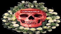 CORONAVIRUS , SU VERDADERO PROPOSITO, EN MEXICO.