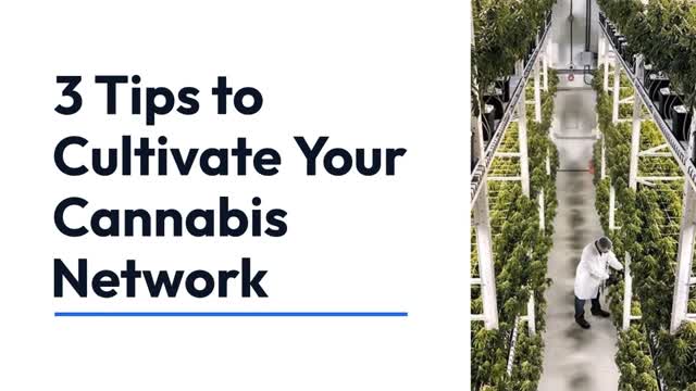 3_Tips_to_Cultivate_Your_Cannabis_Network