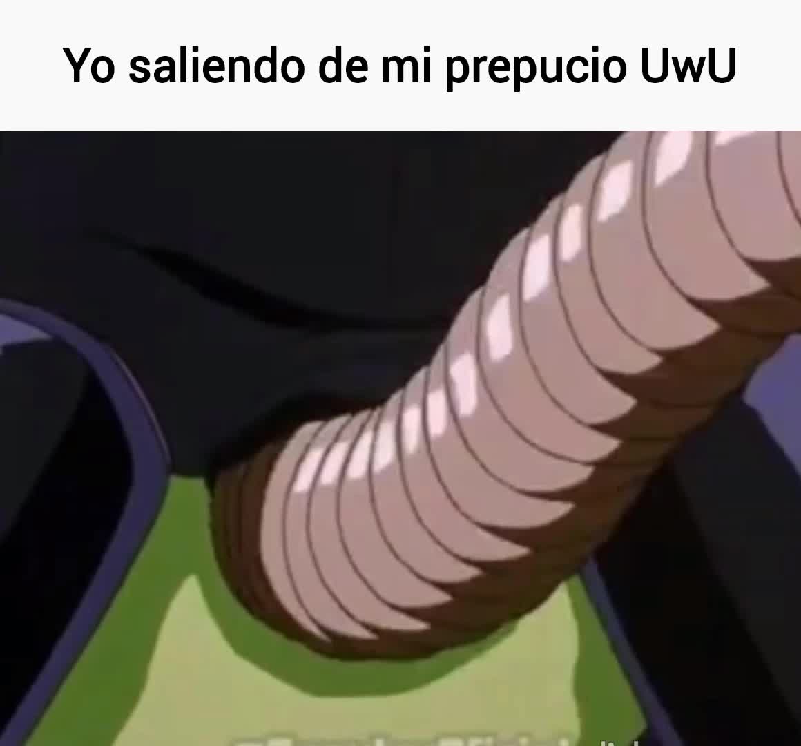 bruh momento