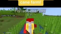 New automatic sugar cane farm!
