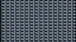 Tally Hall -Good Day