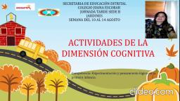 Dimensión cognitiva 10 al 14 de agosto