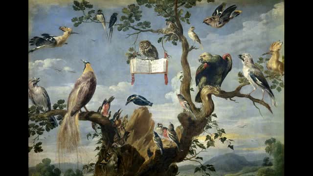 Jean-Philippe Rameau - Le Rappel des Oiseaux