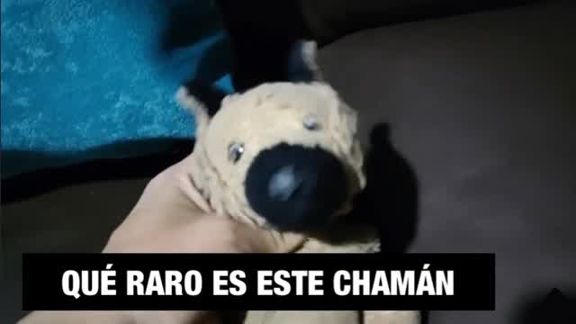 Qué Raro es este Chamán