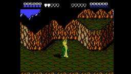 Battle Toads Nes Funny Glitch