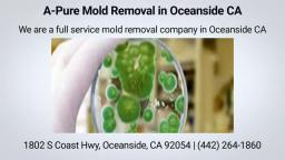 A-Pure Mold Removal in Oceanside CA