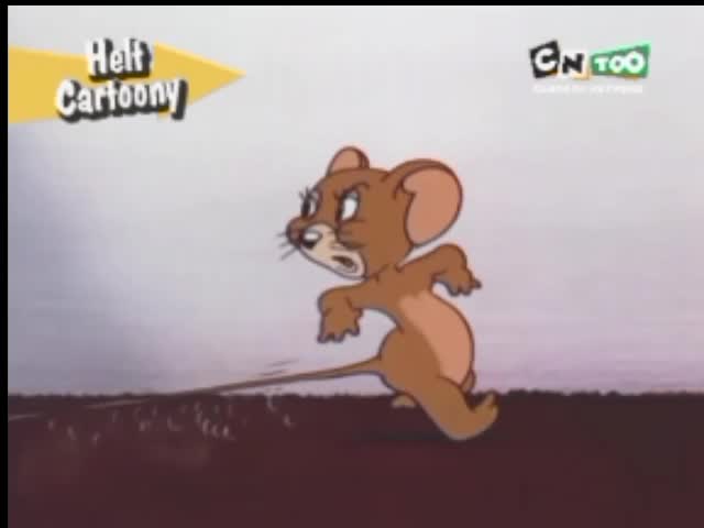 Cartoon Network Too Nordic - Prelaunch Fragment - NEW! October 2006