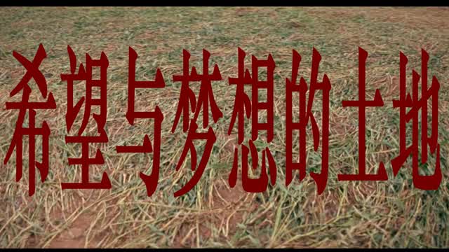 The Field Of Hopes And Dreams Was China VLPMV Ver