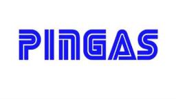 SEGA PINGAS