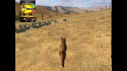 wolfquest - gameplay