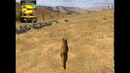 wolfquest - gameplay wolfquest - gameplay