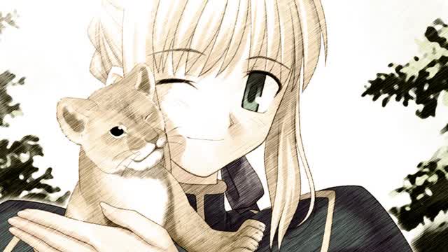 Saber visits Srpska Krajina