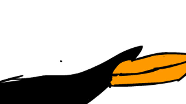 fly little bird fly little bird