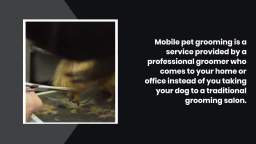 Tips for choosing the best mobile pet grooming for your dog