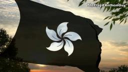 Hong Kong Black Bauhinia flag 1
