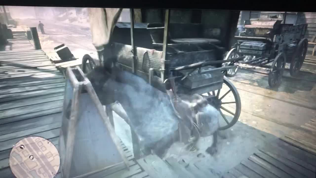 Red Dead Redemption 2-Glitchy Horse