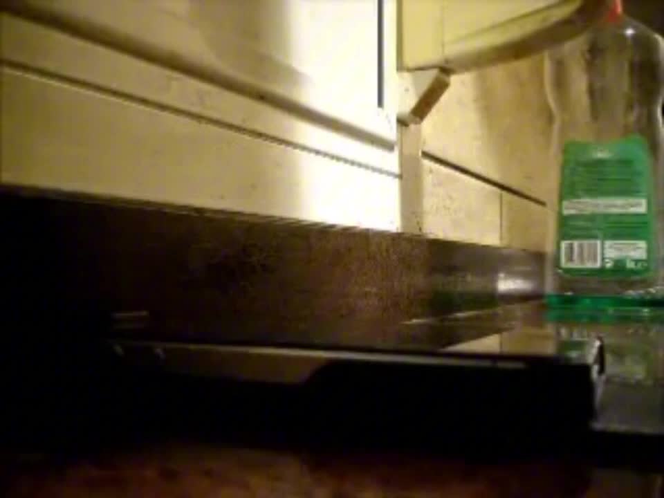 El aburrido - de animales va la cosa