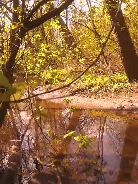 Der erste Au-Movie 2026 Der erste Au-Movie 2026