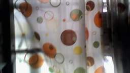 ticks hto ticks hto