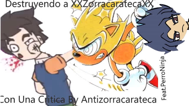 Destruyendo a XXZorracaratecaXX Con Una Critica Destructiva (Feat.PerroNinja)