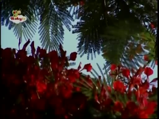 The Amazing World - Bees