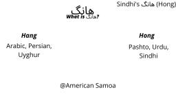 Sindhi هانگ (Hong) | Arabic languages comparison