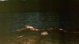 Is it real The Loch ness monster