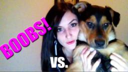 Shamelss Plug Boobs vs. Puppies (An Intro)