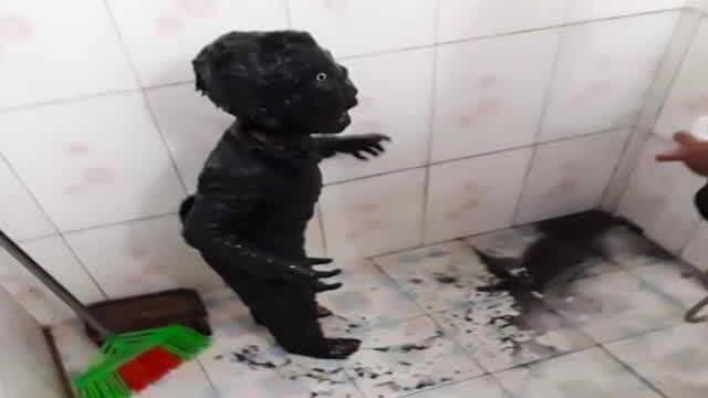 what is that?