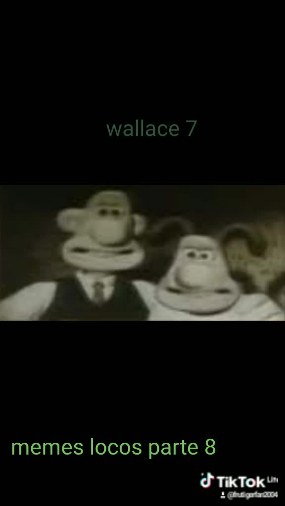 Wallace 7