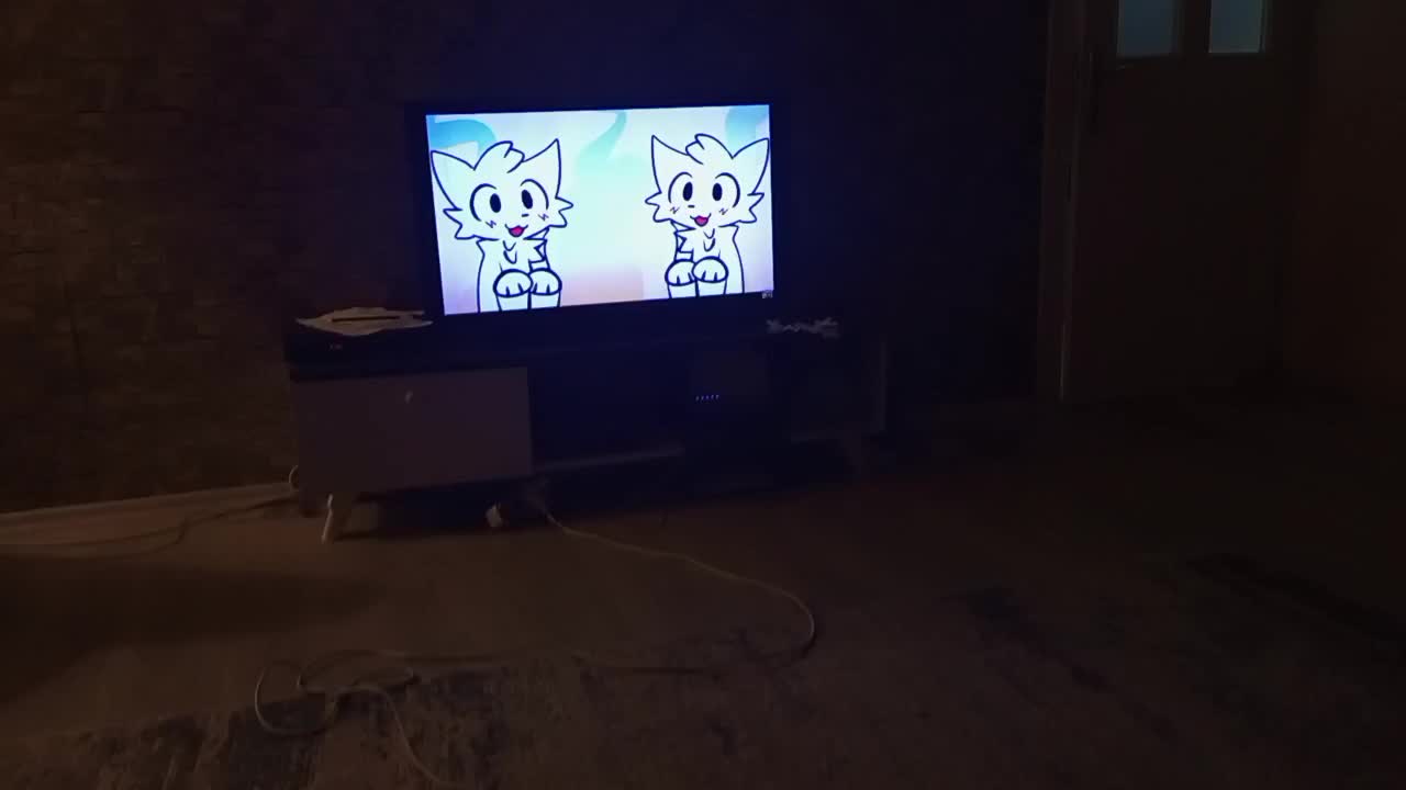 VID_20241228_210741