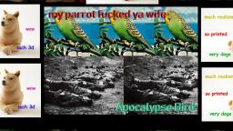 MY PARROT FUCKED YA WIFE - APOCALYPSE BIRD