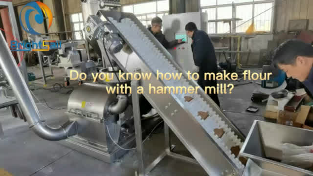 Do you know how to make flour  with a hammer mill?#mill#hammermill#flourmill