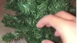 RANDOM VIDS THAT I FOUND ON TIKTOK #20