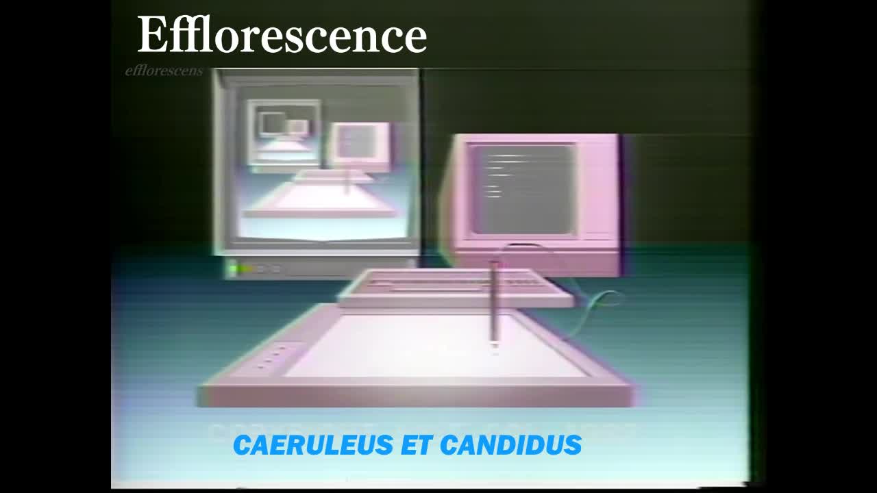 Efflorescence - CAERULEUS ET CANDIDUS (original vaporwave song)