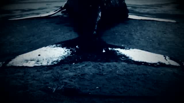 DrossRotzank - El juego de la Ballena Azul