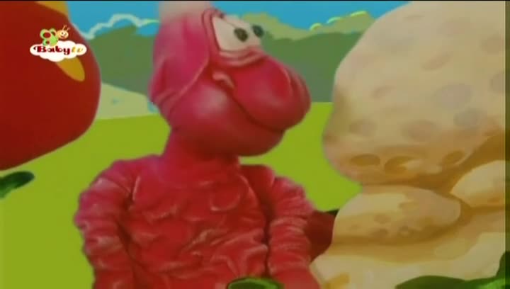 Bim and Bam - Chimpanzee