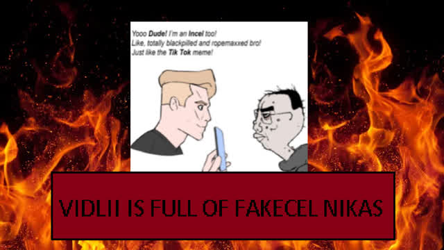 Vidlii's neurotypical fakecel lurkers Vidlii's neurotypical fakecel lurkers