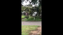 Aracruz School Shooting [ARCHIVE COMPILATION]