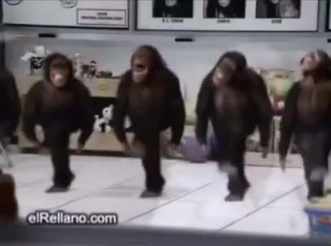 Monkey dancing