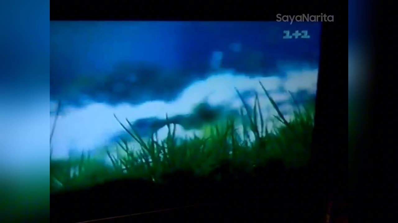 1+1 - Adevrtising break and announcement (9 July 2012)